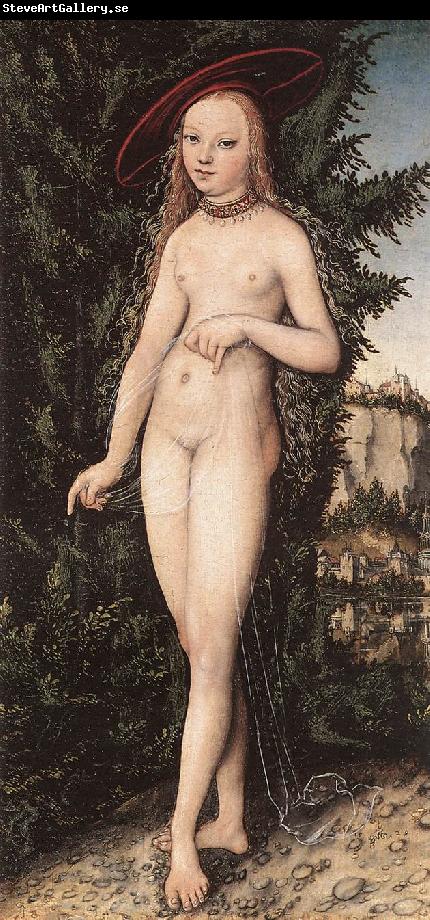 CRANACH, Lucas the Elder Venus Standing in a Landscape  fdg